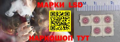 индика Рыбинск
