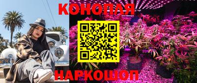 индика Рыбинск