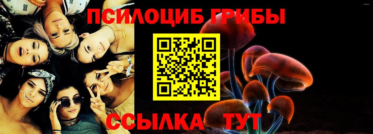 цена наркотик  Псилоцибиновые грибы мицелий  Вход с VPN  Пенза 